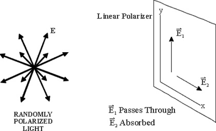 Polarizer1