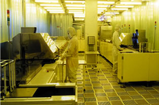 lab